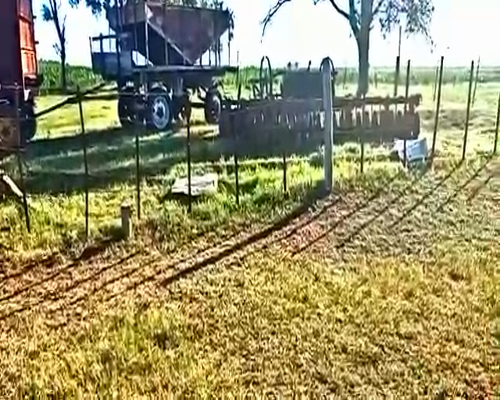 Lote 36 Terneros/as en Viamonte, Córdoba