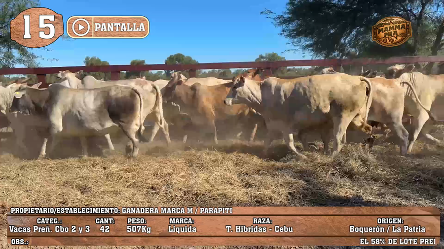 Lote LOTE 15 - POR PANTALLA