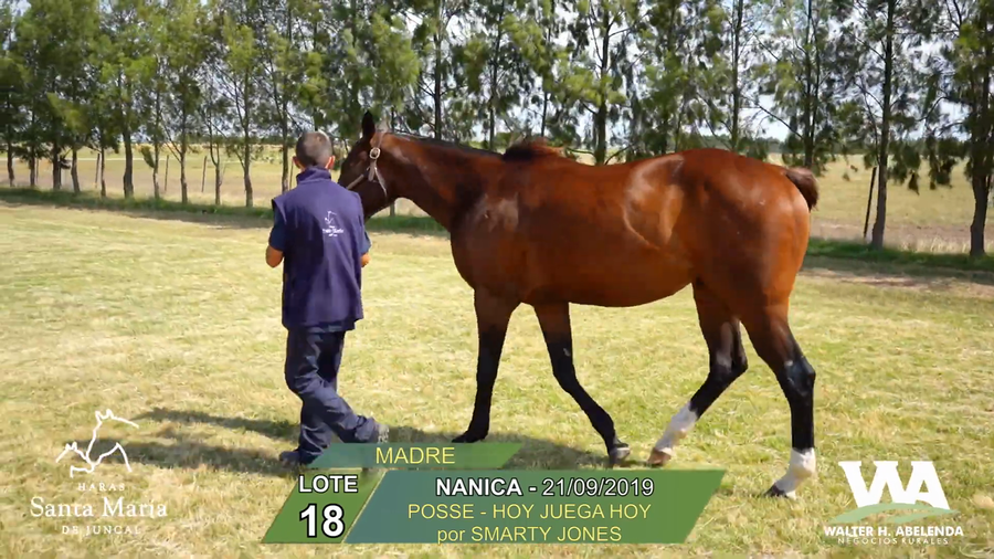 Lote NANICA