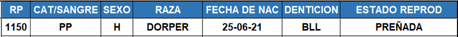 Lote LOTE 7