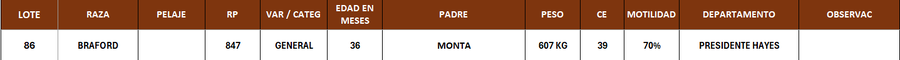 Lote LOTE 86