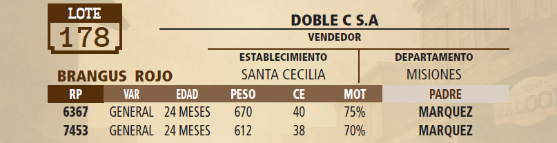 Lote LOTE 178 - VIVO