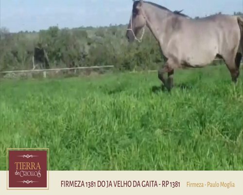Lote Firmeza 1381 (RP 1381) - Cabaña Firmeza