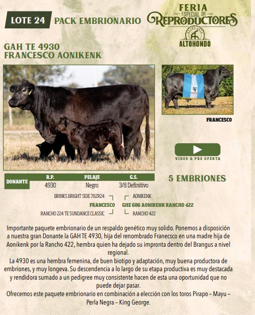 Lote LOTE 24