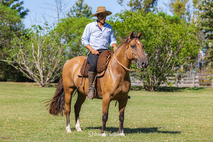 Lote KE ULTIMA DE LA COLINA