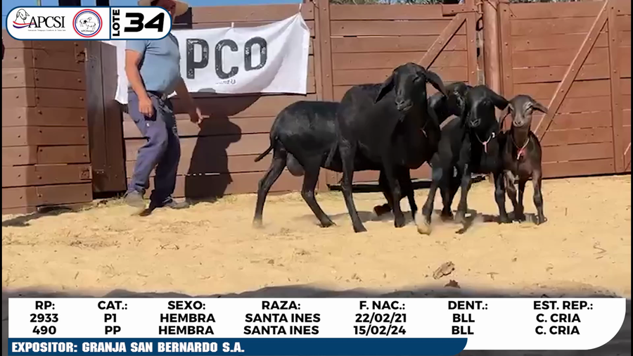 Lote LOTE 34