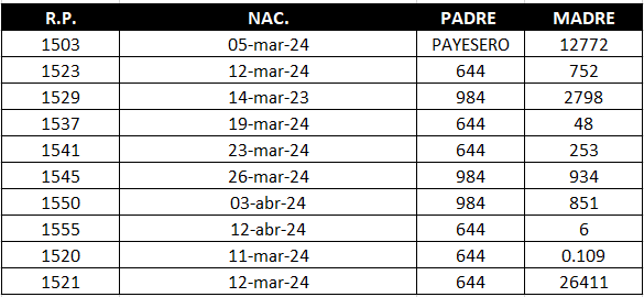 Lote LOTE 8