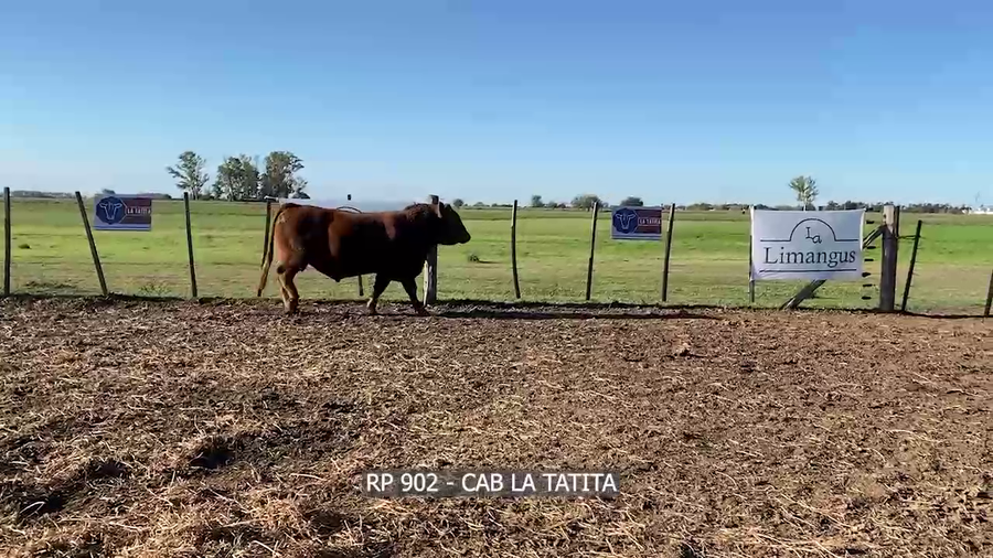 Lote RP  902 LA TATITA