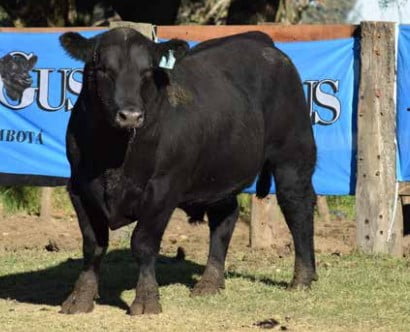 Lote CABAÑA "COEMBOTA" DE CALDERÓN RP 164