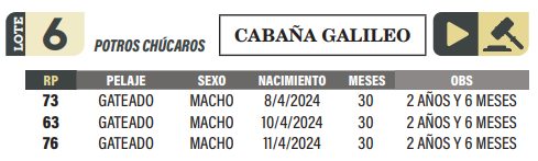 Lote LOTE 6