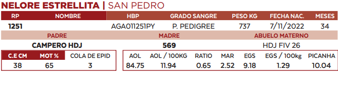 Lote LOTE 65