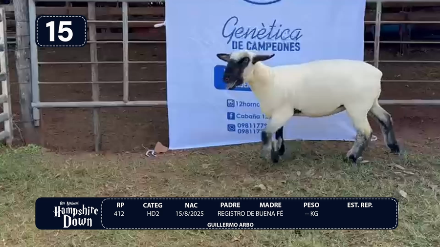 Lote LOTE 15
