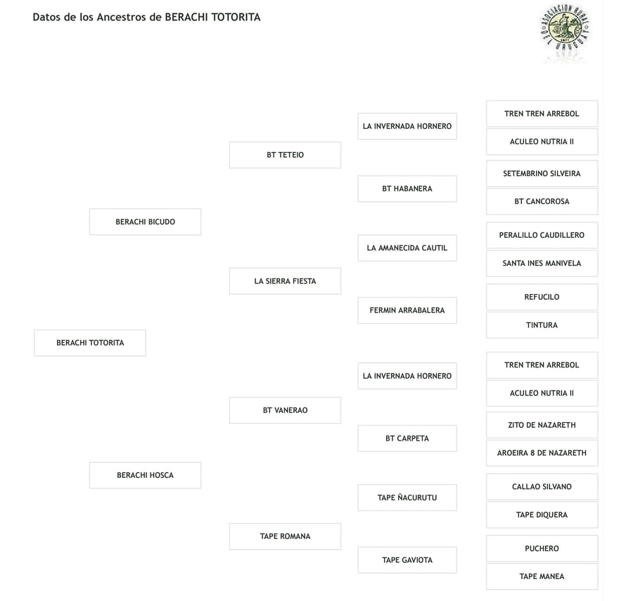 Lote Cabaña "Berachi" - RP 375 - Berachi Totorita