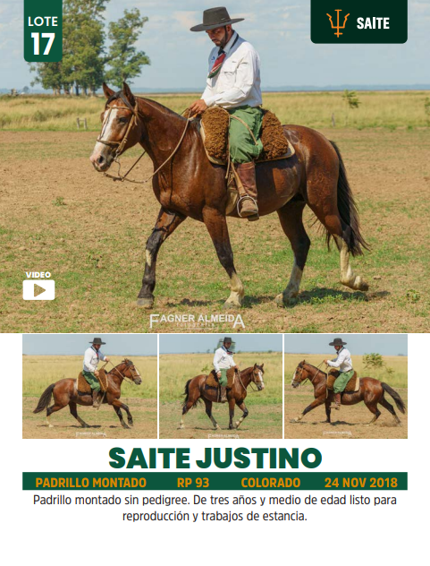 Lote LOTE 17