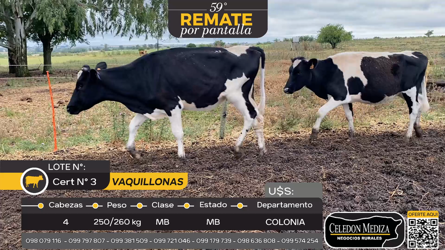 Lote 4 Vaquillonas  en Otra Localidad, Colonia