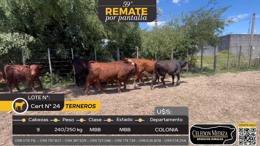 Lote 9 Terneros en Miguelete, Colonia