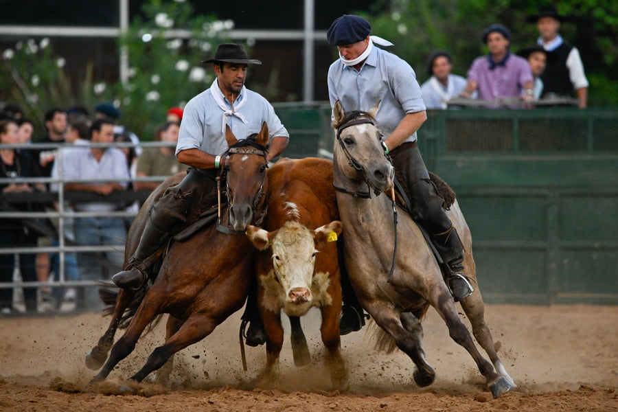 Lote DEL SIETE CUANTO PASA