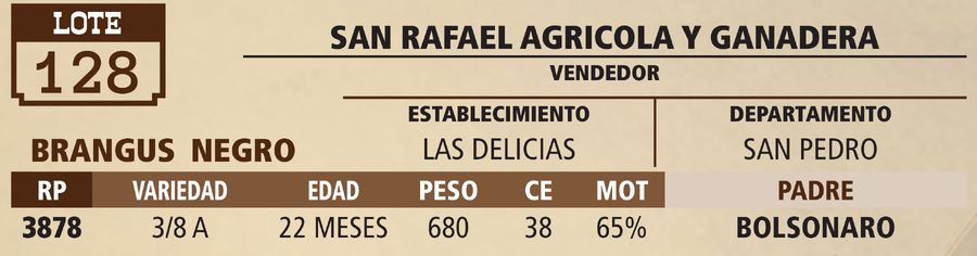 Lote LOTE 128 - VIVO
