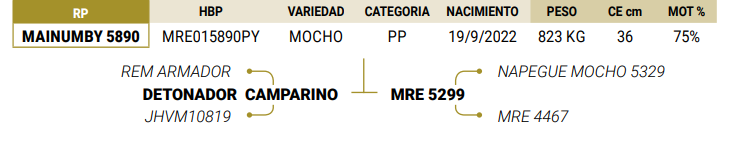 Lote LOTE 1