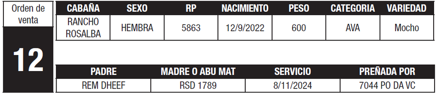 Lote LOTE 12
