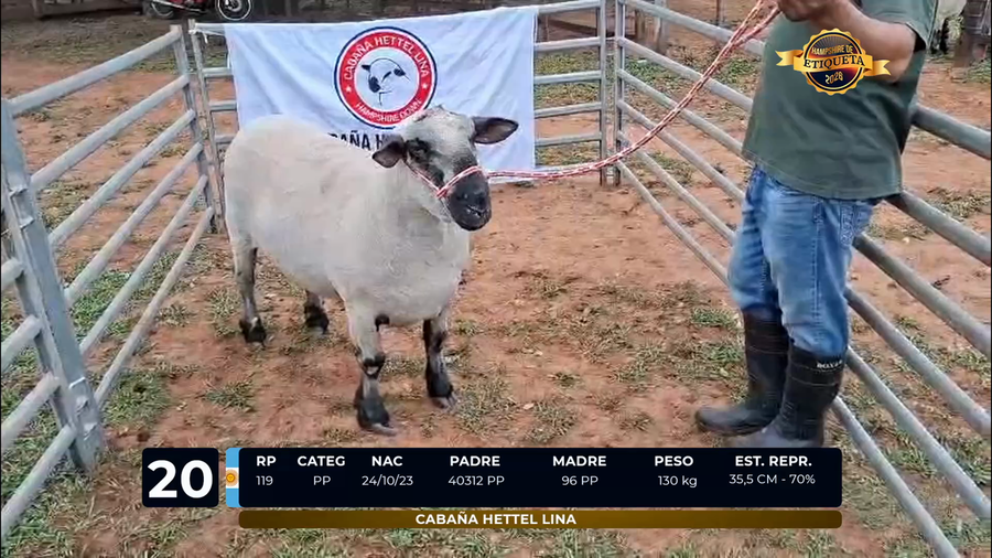 Lote LOTE 20