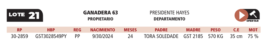 Lote LOTE 21