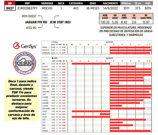 Lote LOTE 65