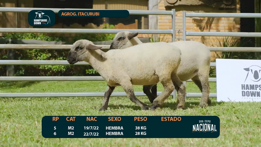 Lote LOTE 8 - AGROG. ITACURUBI - RP 5 / 6