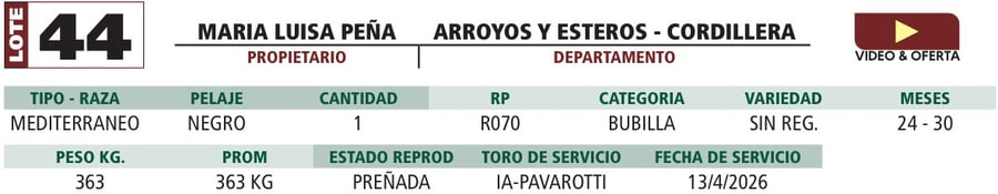 Lote LOTE 44