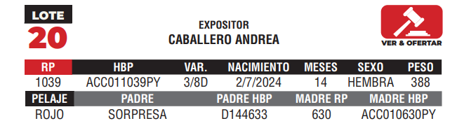 Lote LOTE 20 - JUNIOR