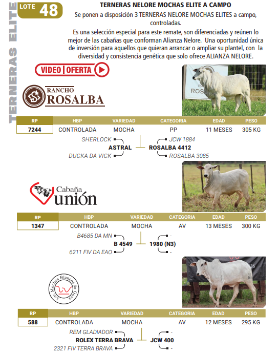 Lote LOTE 48