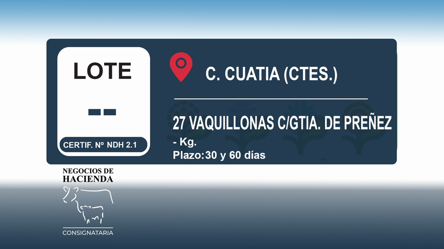 Lote 27 Vaquillonas C/ gtia de preñez en Corrientes, Curuzu Cuatia