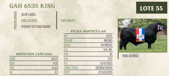 Lote LOTE 55