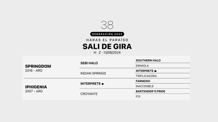 Lote SALI DE GIRA