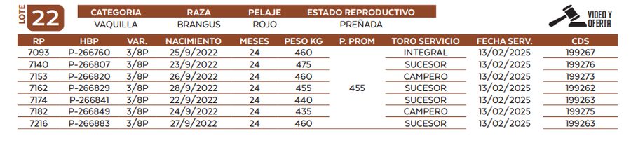 Lote LOTE 22