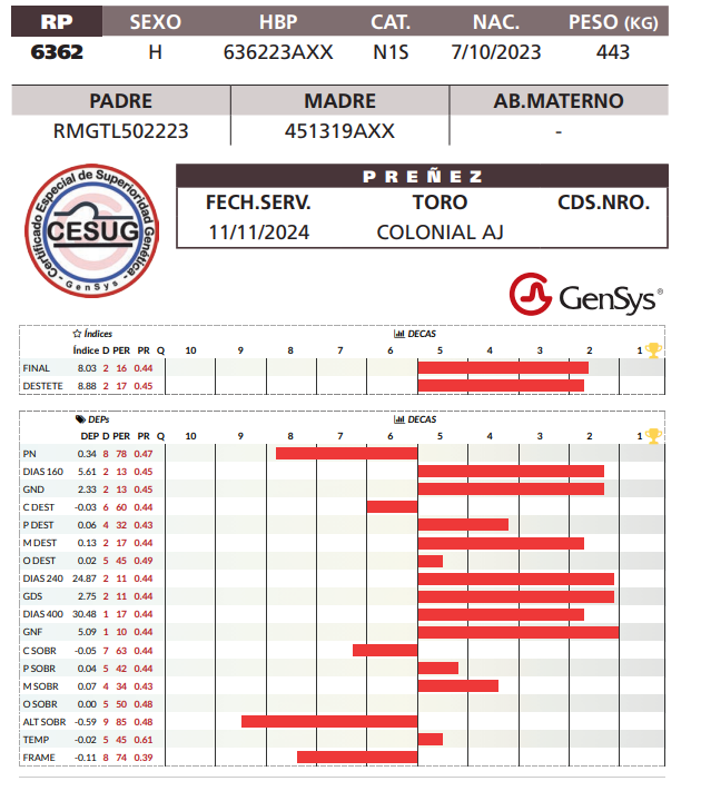 Lote LOTE 8