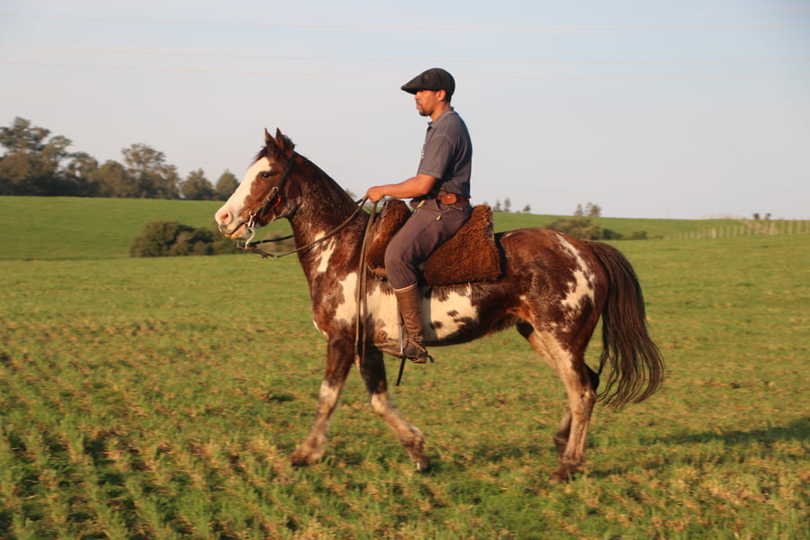 Lote TRADICION DEL CONVENTOS
