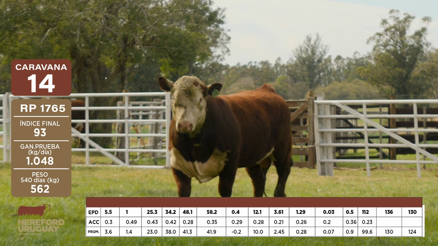 Lote Caravana 14 "Helvecia Karlen"