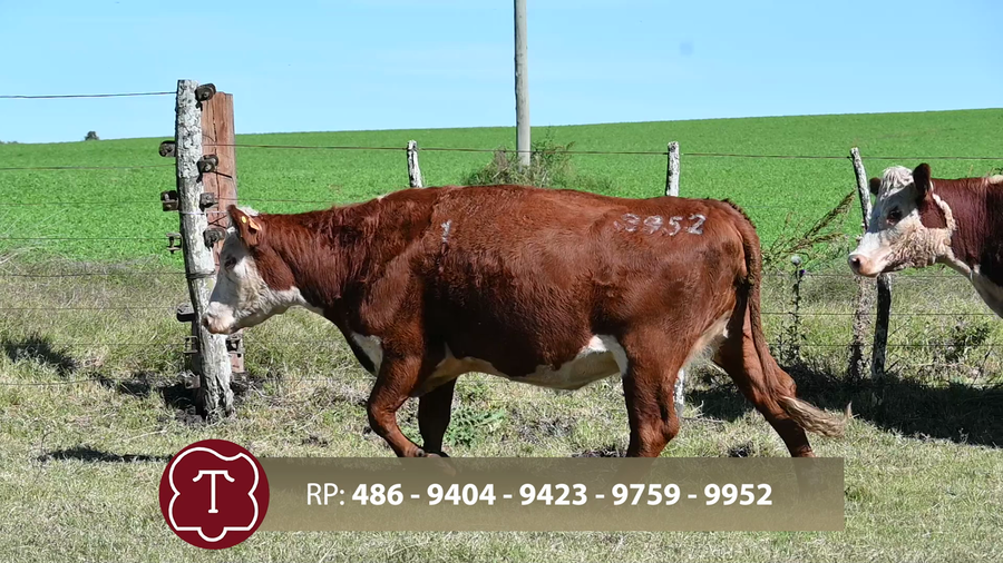 Lote Don Carlos de Thompson - Escritorio Dutra