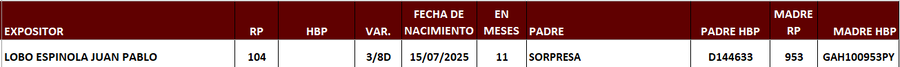 Lote LOTE 14