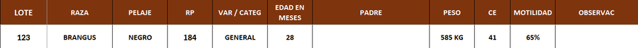 Lote LOTE 123