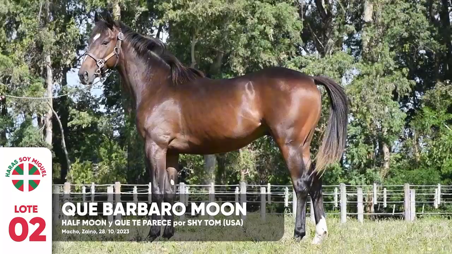 Lote QUE BARBARO MOON