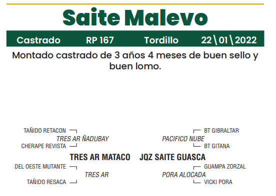 Lote LOTE 29