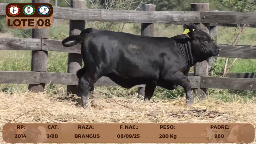 Lote LOTE 8