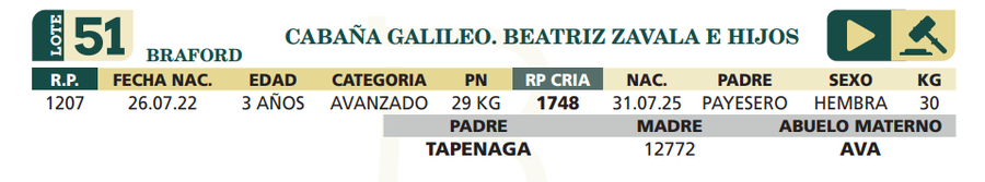 Lote LOTE 51