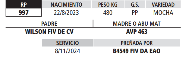 Lote LOTE 26