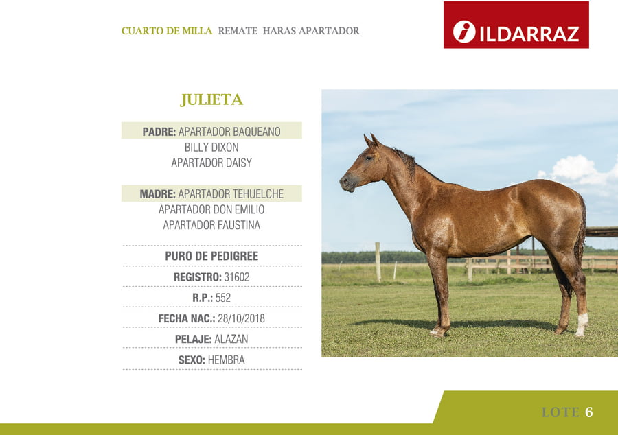 Lote JULIETA