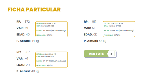 Lote LOTE 46