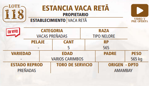 Lote LOTE 118 - EN VIVO