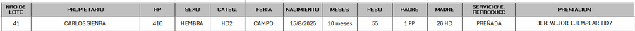 Lote LOTE 41 - CAMPO
